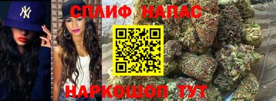 сатива Донской