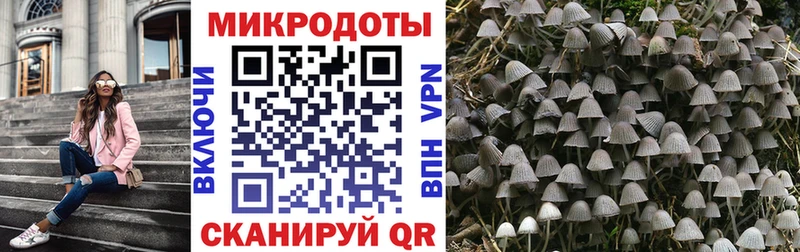 Галлюциногенные грибы GOLDEN TEACHER  сколько стоит  Михайловка 