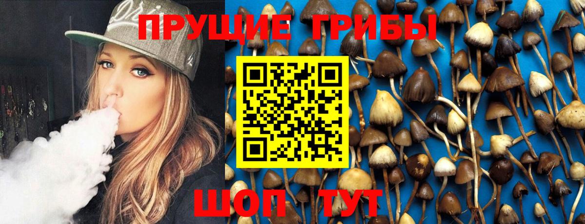 Псилоцибиновые грибы Psilocybine cubensis  Псилоцибиновые грибы Psilocybine cubensis  Михайловка  Вход с VPN 