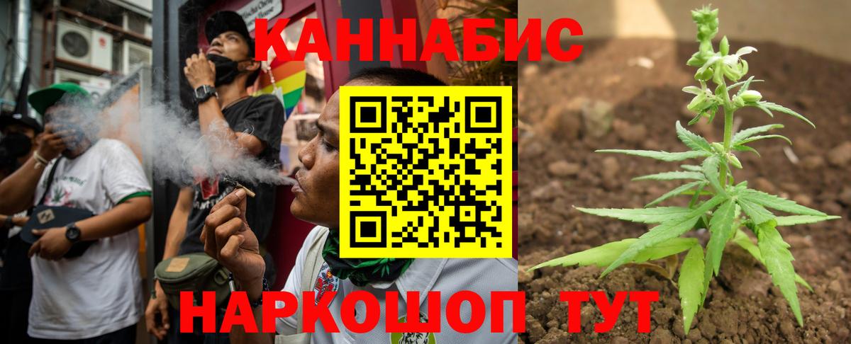 МАРИХУАНА сатива Михайловка